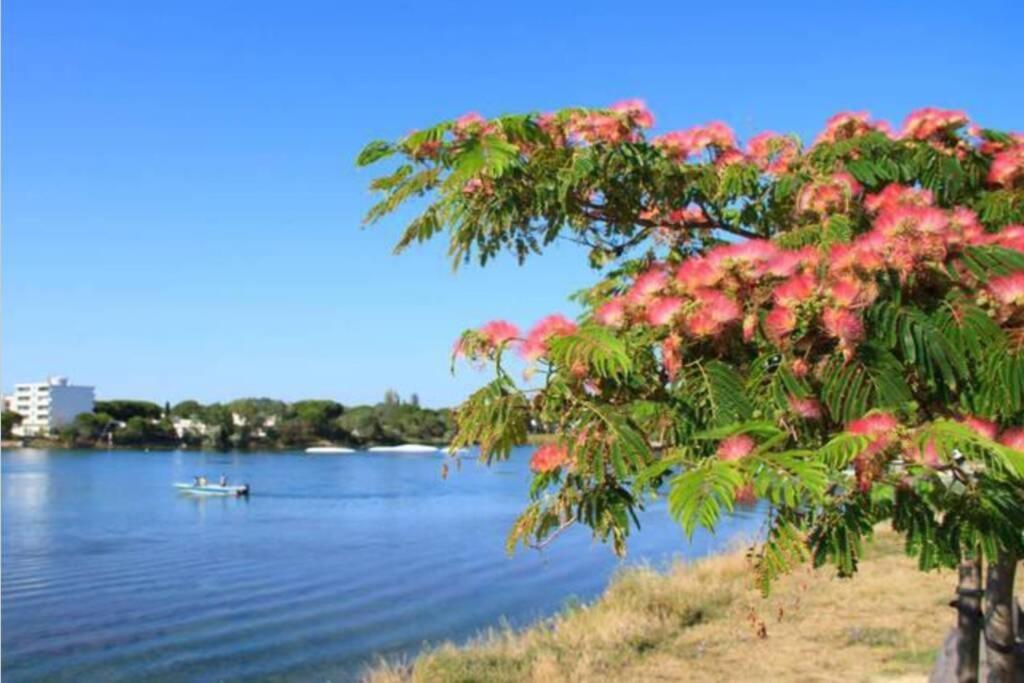 Reve Bleu Residence La Grande Pyramide Vue Port Hyper Centre Wifi Parking Prive Gratuit 外观 照片